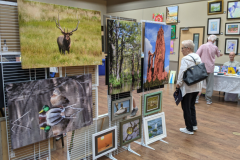 Cool Arts Show