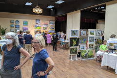 Cool Arts Show