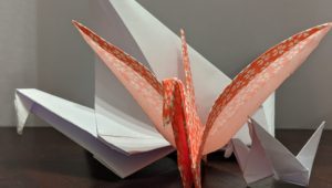 LTCL Origami @ Lake Travis Community Library