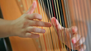 LTCL Live Music: Harp and Oboe @ Lake Travis Community Library