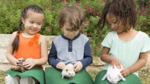 LTCL: Tiny Tails Petting Zoo @ Lake Travis Community Library