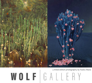 Gallery Opening: Wolf Gallery @ Music Hill Ranch