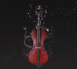 LTCL Concert: Cello @ Lake Travis Community Library